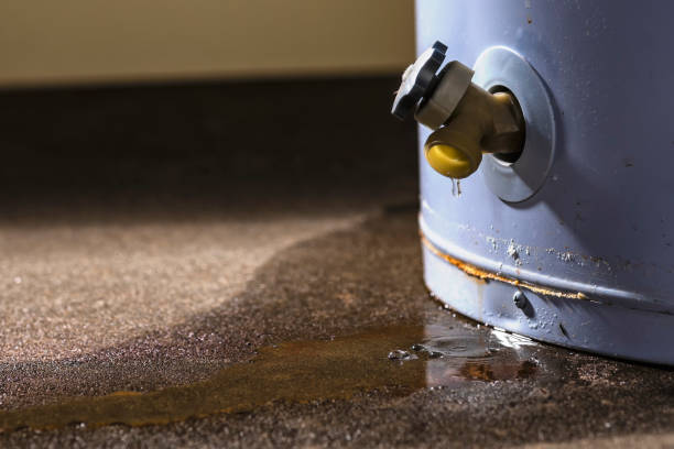 Best Water damage restoration near me  in Helena, MT