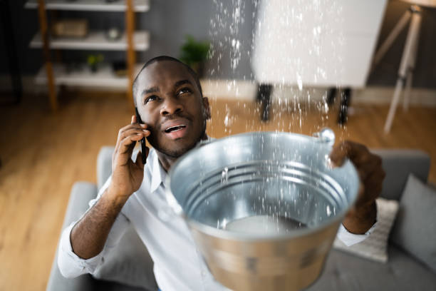 Best Mold removal after water damage  in Helena, MT