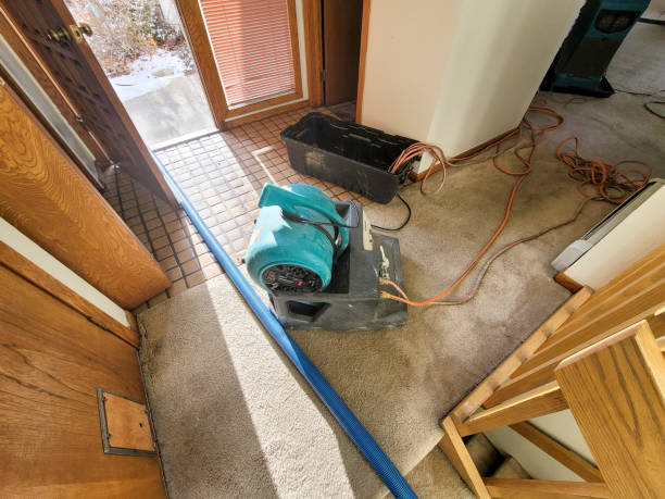 Best Water damage restoration near me  in Helena, MT