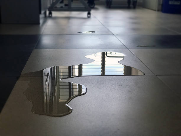 Best Carpet water damage restoration  in Helena, MT