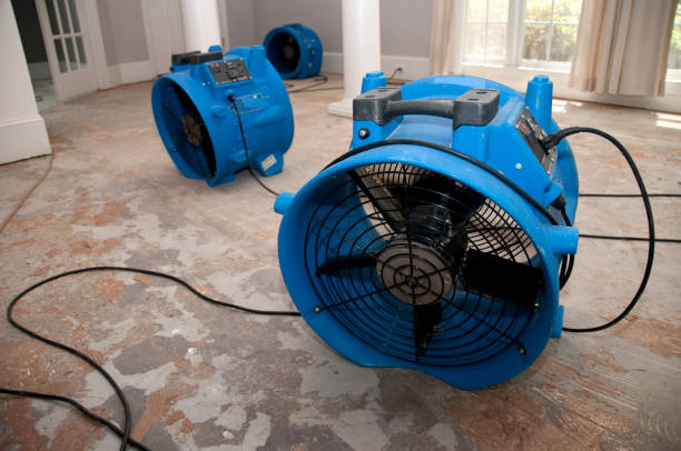 Best Emergency water damage restoration  in Helena, MT