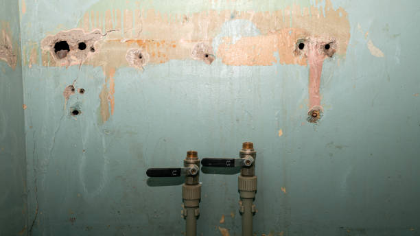 Best Flood damage cleanup  in Helena, MT