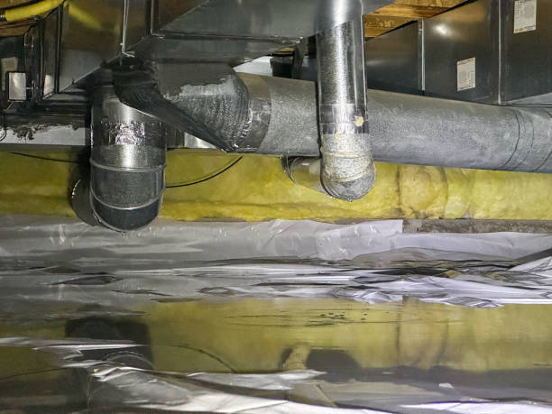 Best Flooded house restoration  in Helena, MT