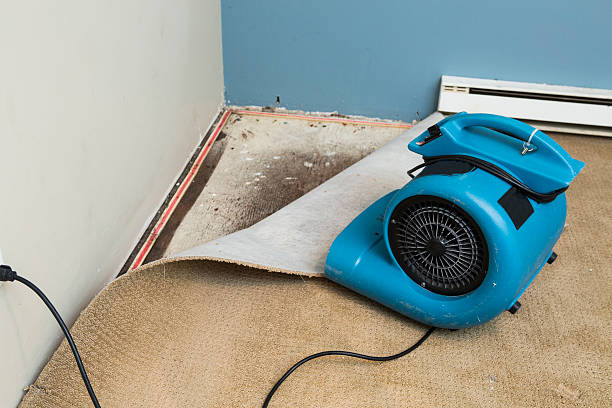 Best Carpet water damage restoration  in Helena, MT